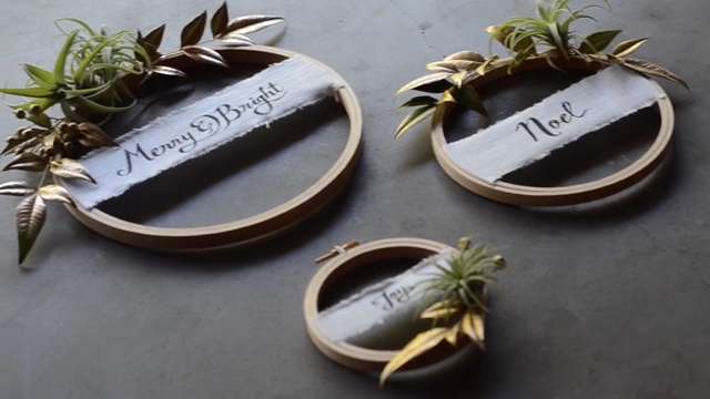 How to Make Air Plant Wreaths