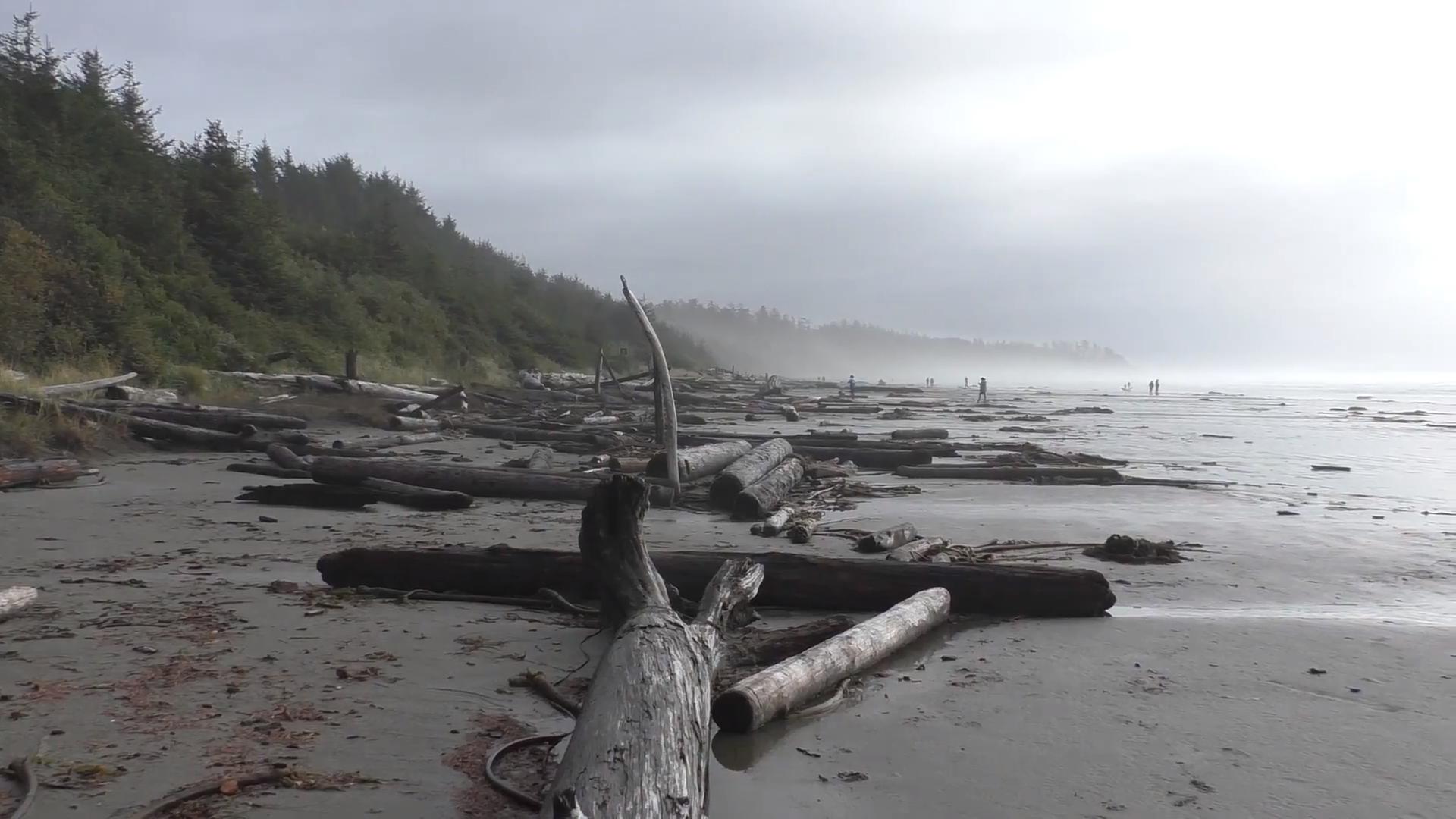 Privacy Policy – Technologies Detail