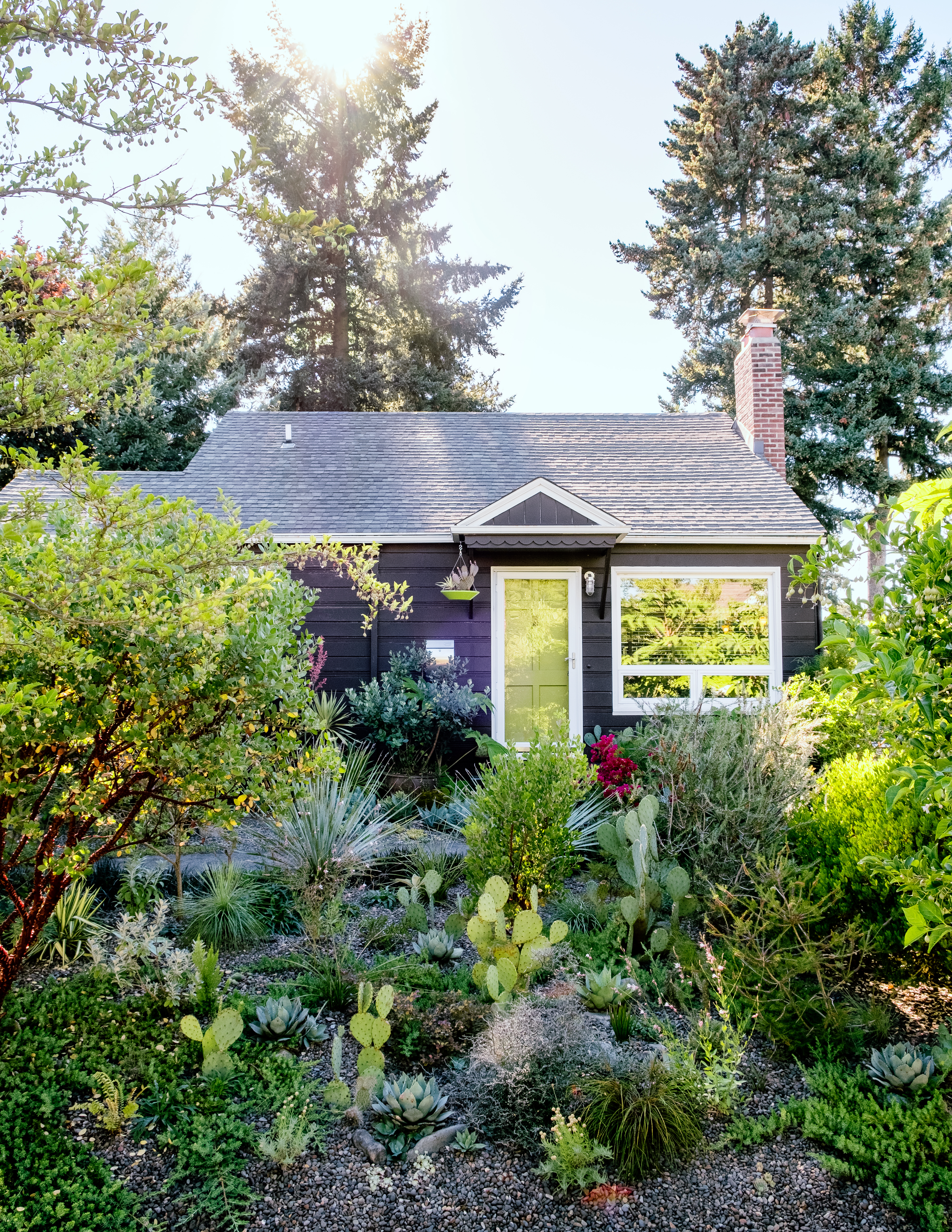 How to Grow a Desert Garden Anywhere