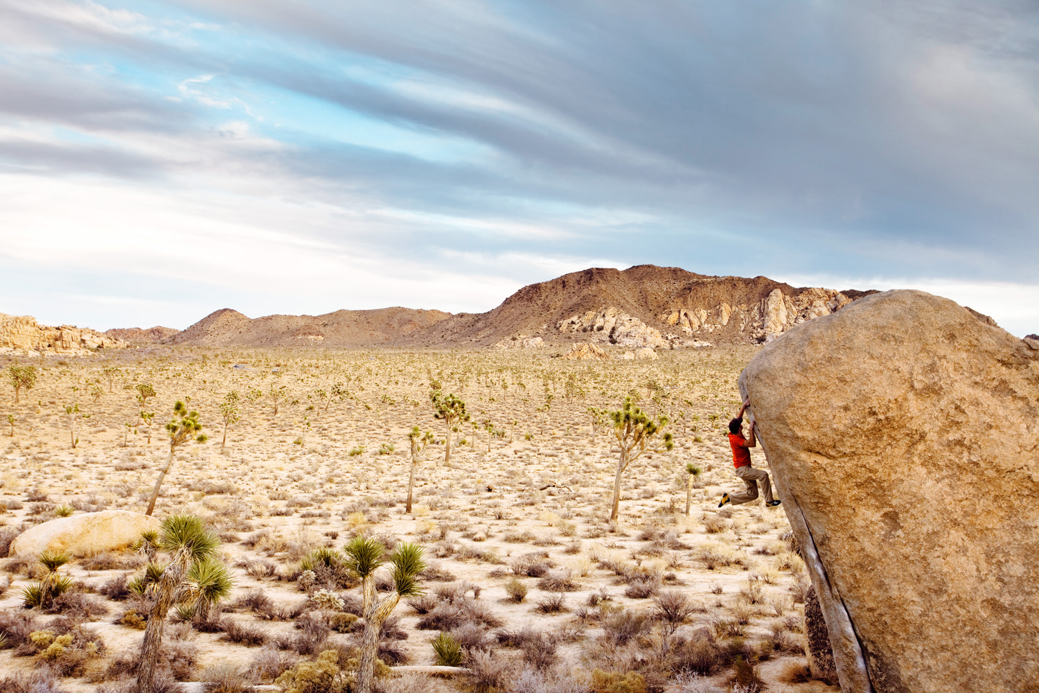 climb-in-joshua-tree-national-park-ca