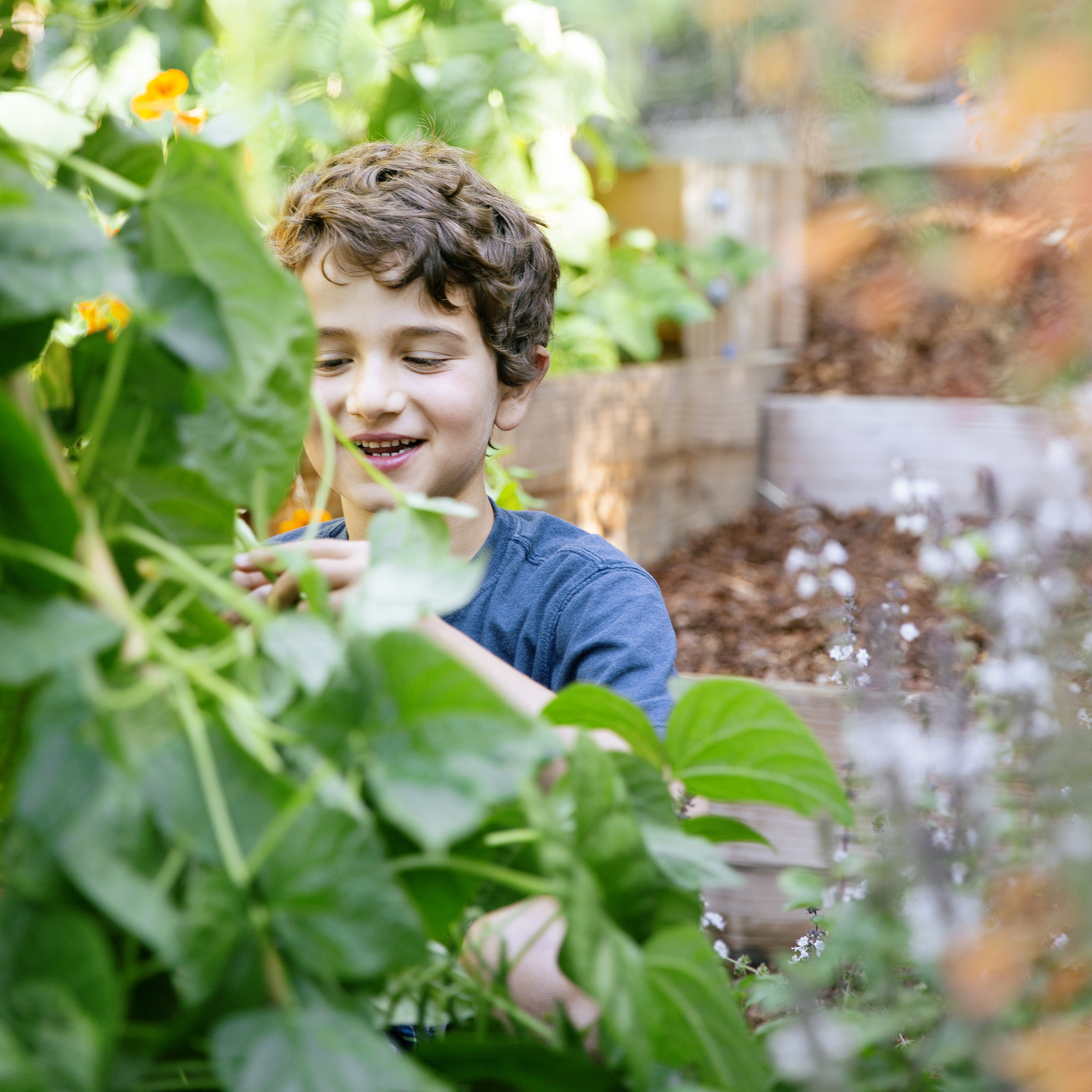 10 Ways to Get Kids Involved in Gardening