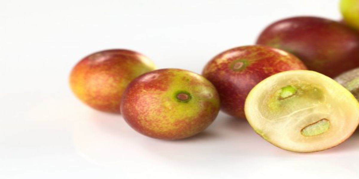 Camu Camu Fruit
