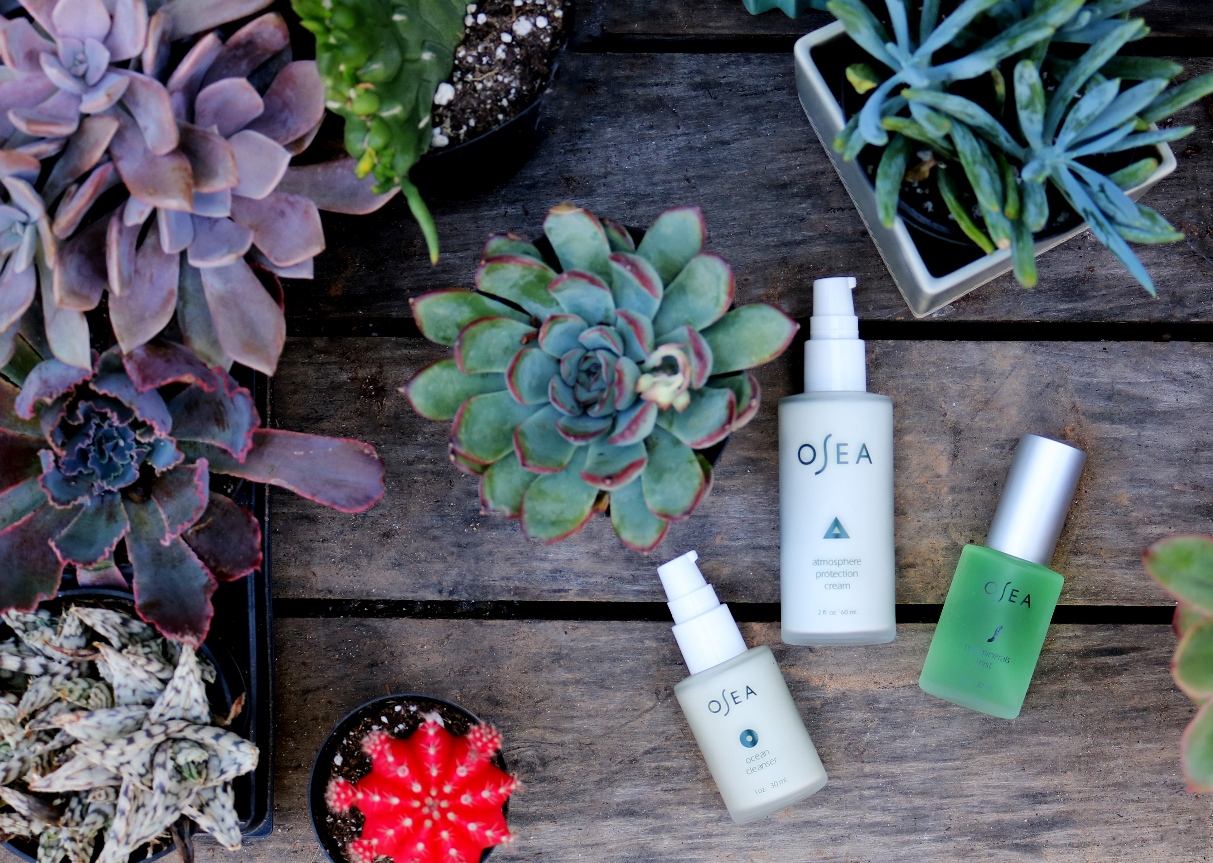 10 Best Travel Beauty Kits