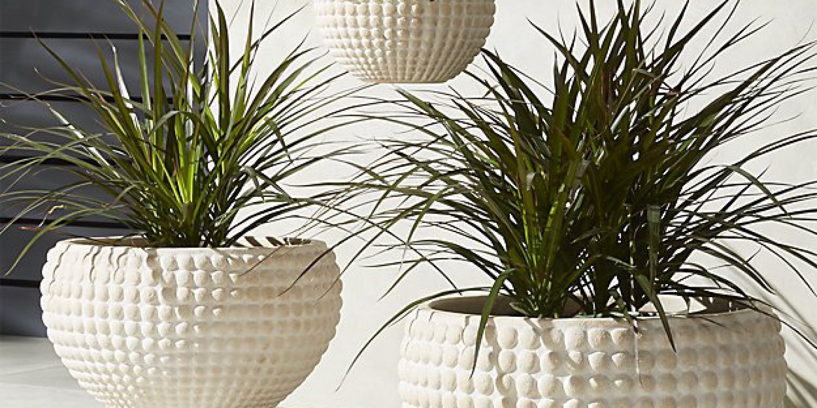 Statement-Making Large Outdoor Planters
