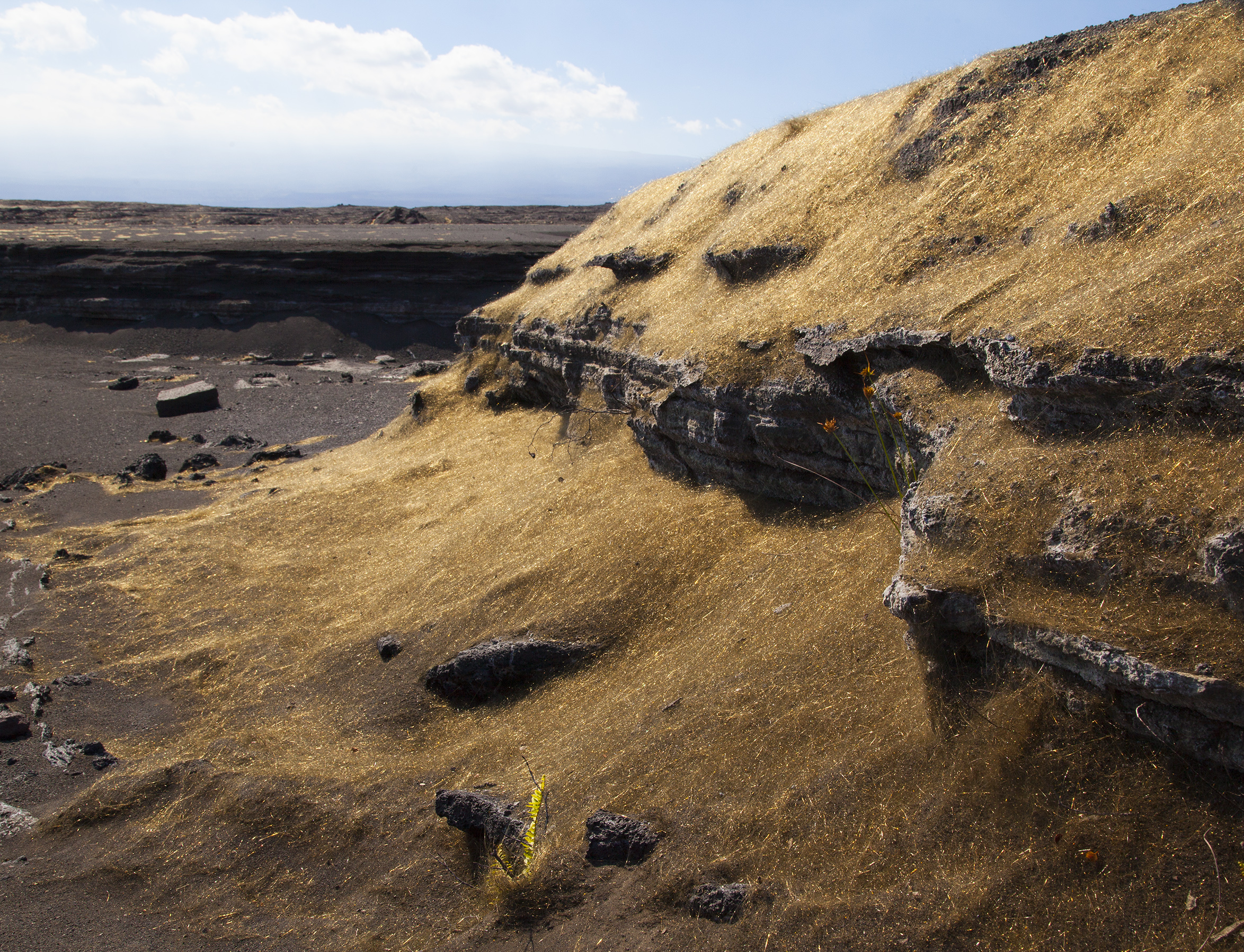 Pele's Hair on the Big Island of Hawaii