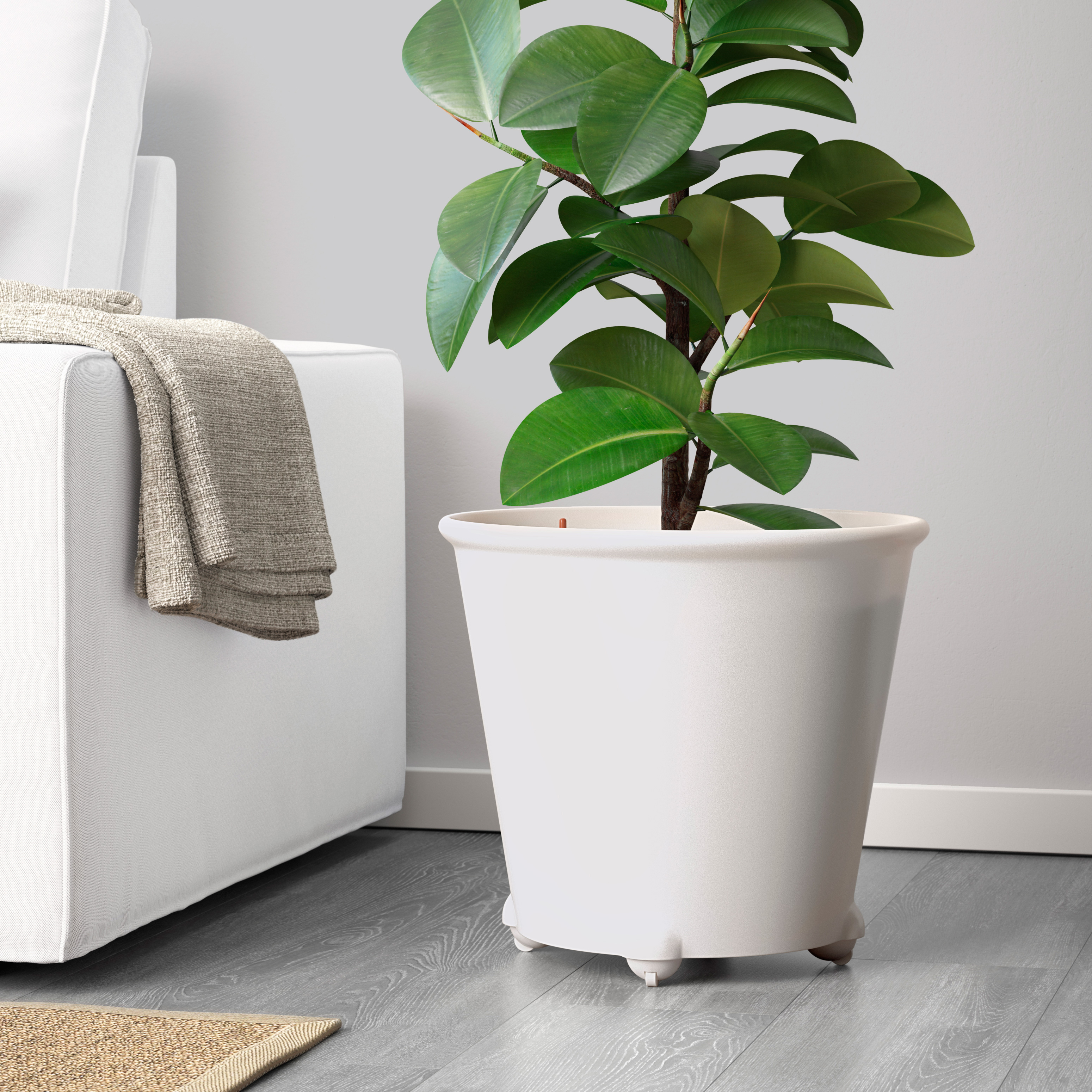 Self-Watering Pots to Keep Plants Alive While You're Away