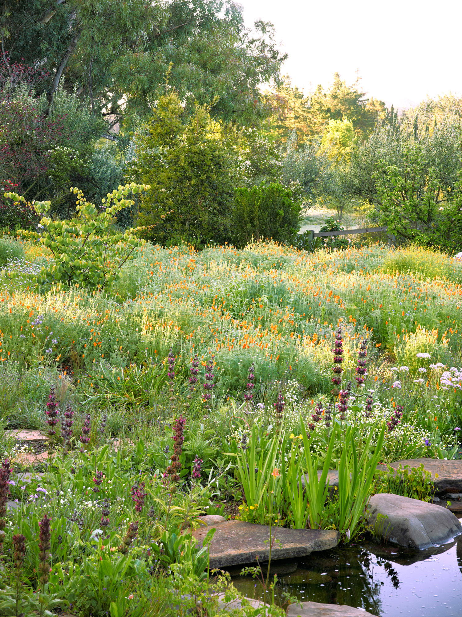 what-is-a-meadow-garden