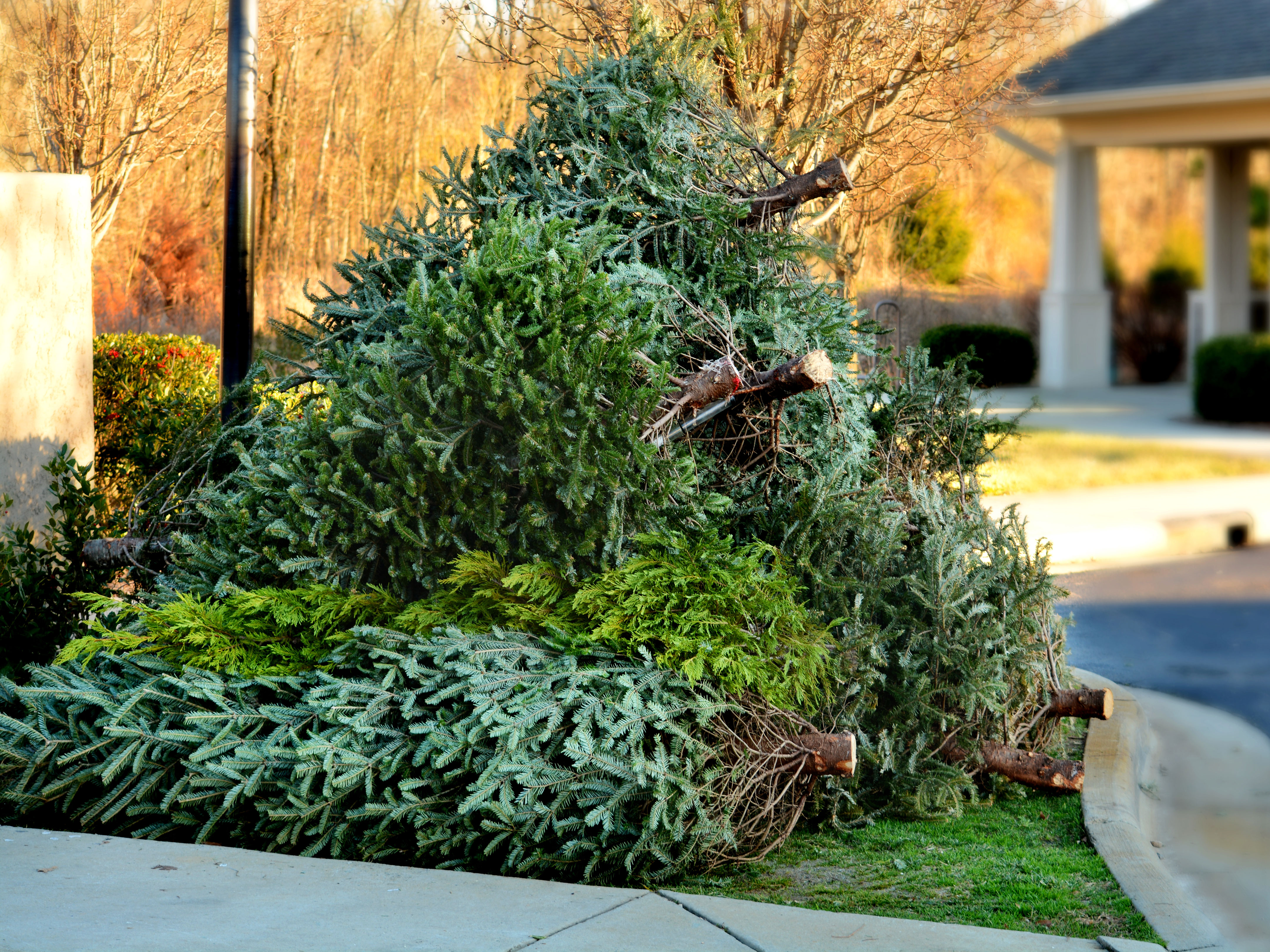 These Are the Eco-Friendly Christmas Tree Disposal Methods to Try