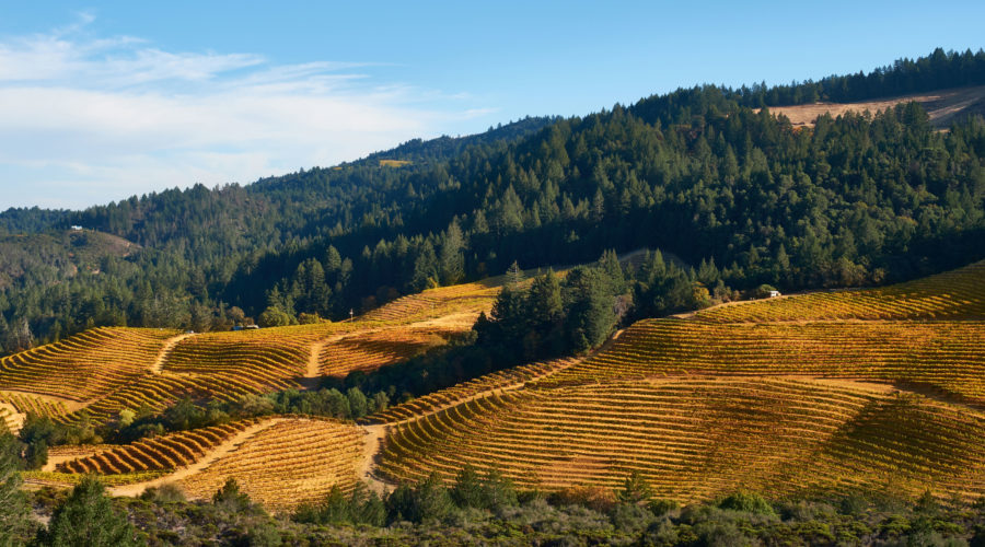 Rolling hills of Calistoga as seen on Getaway Adventures California Wine Country tours
