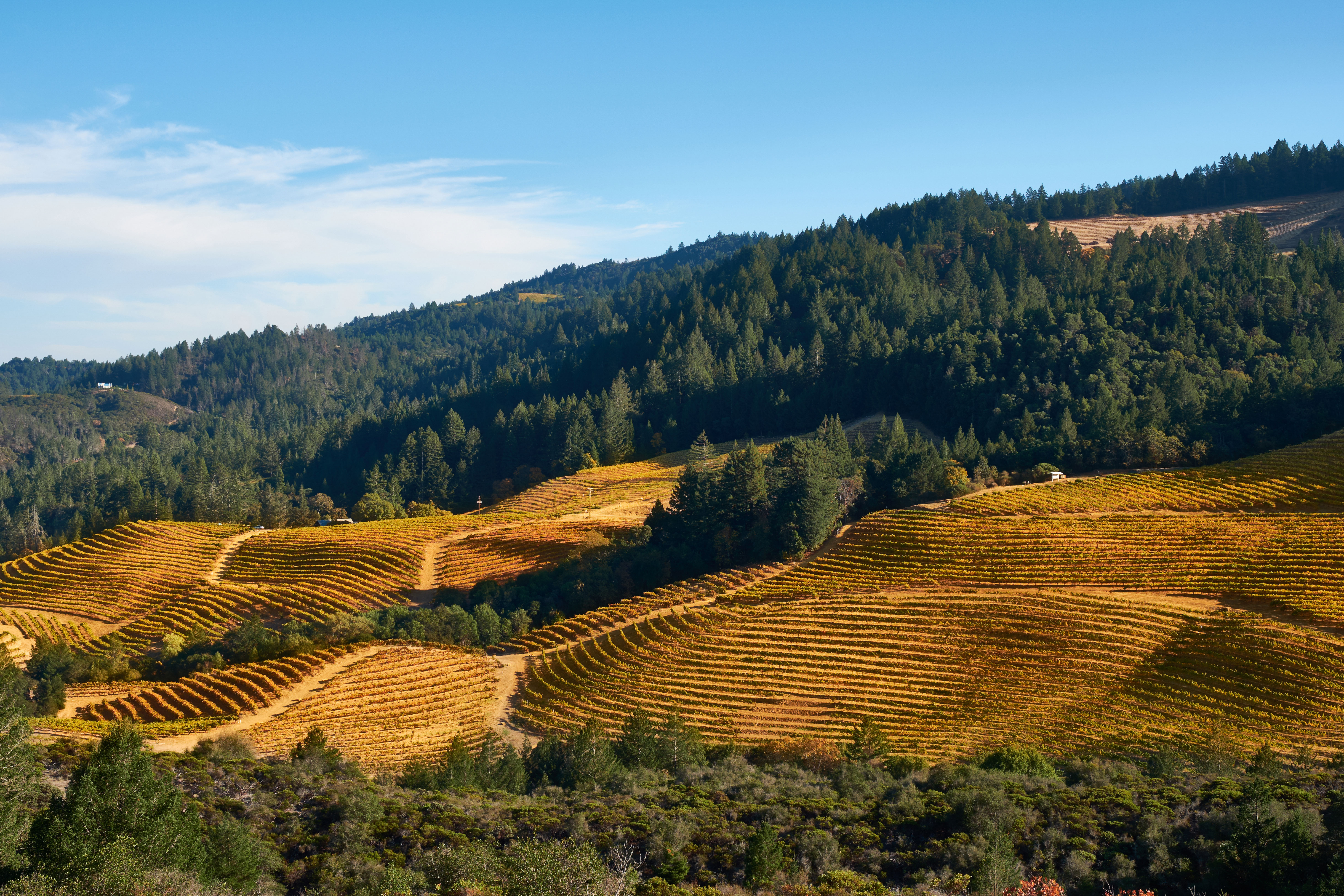best time to tour california wine country