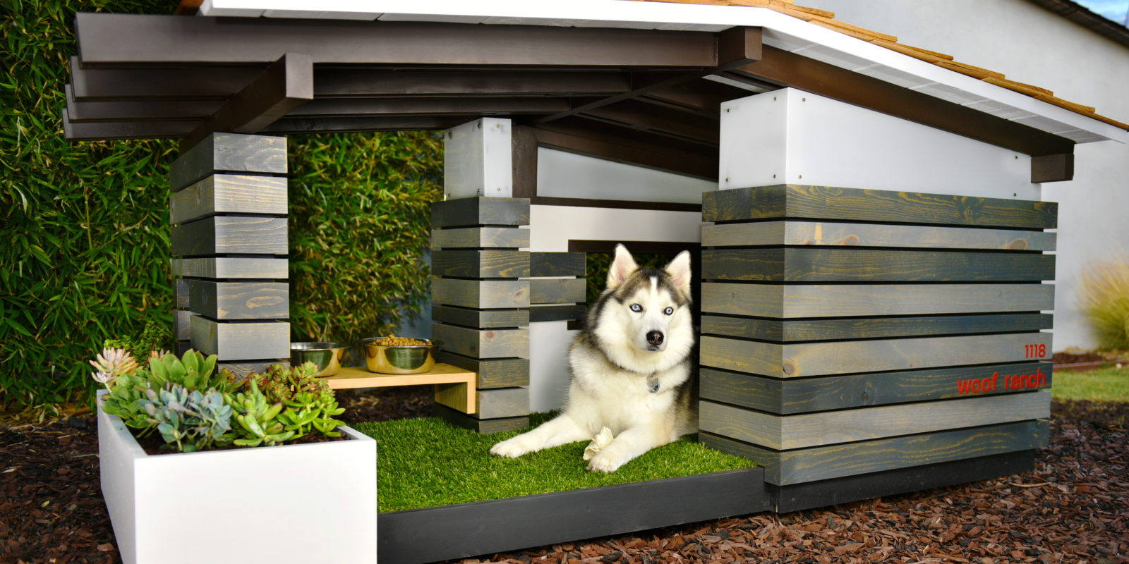 Creative Dog House Designs