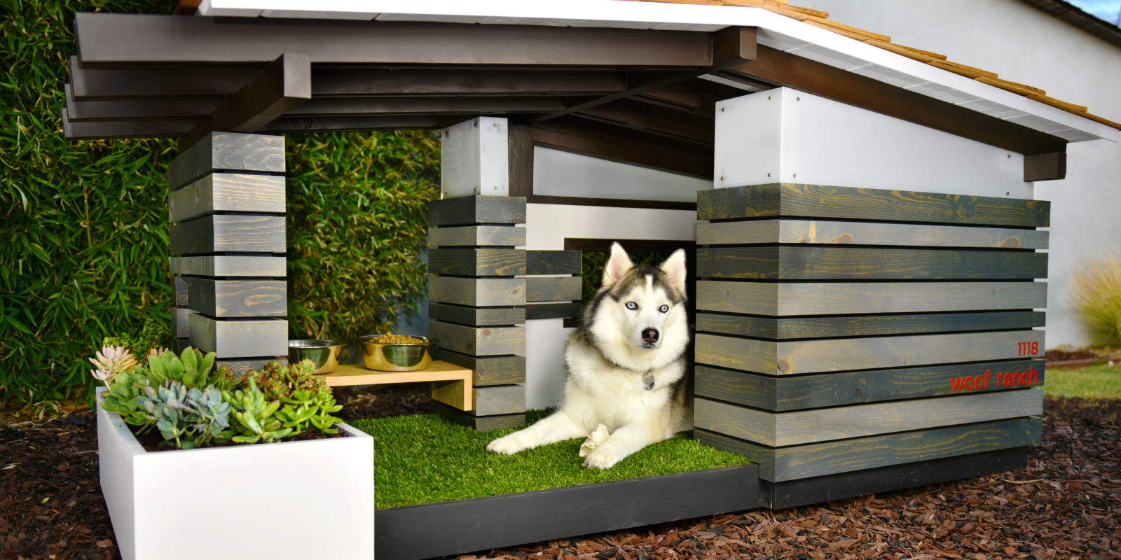 Huge dog 2024 house plans