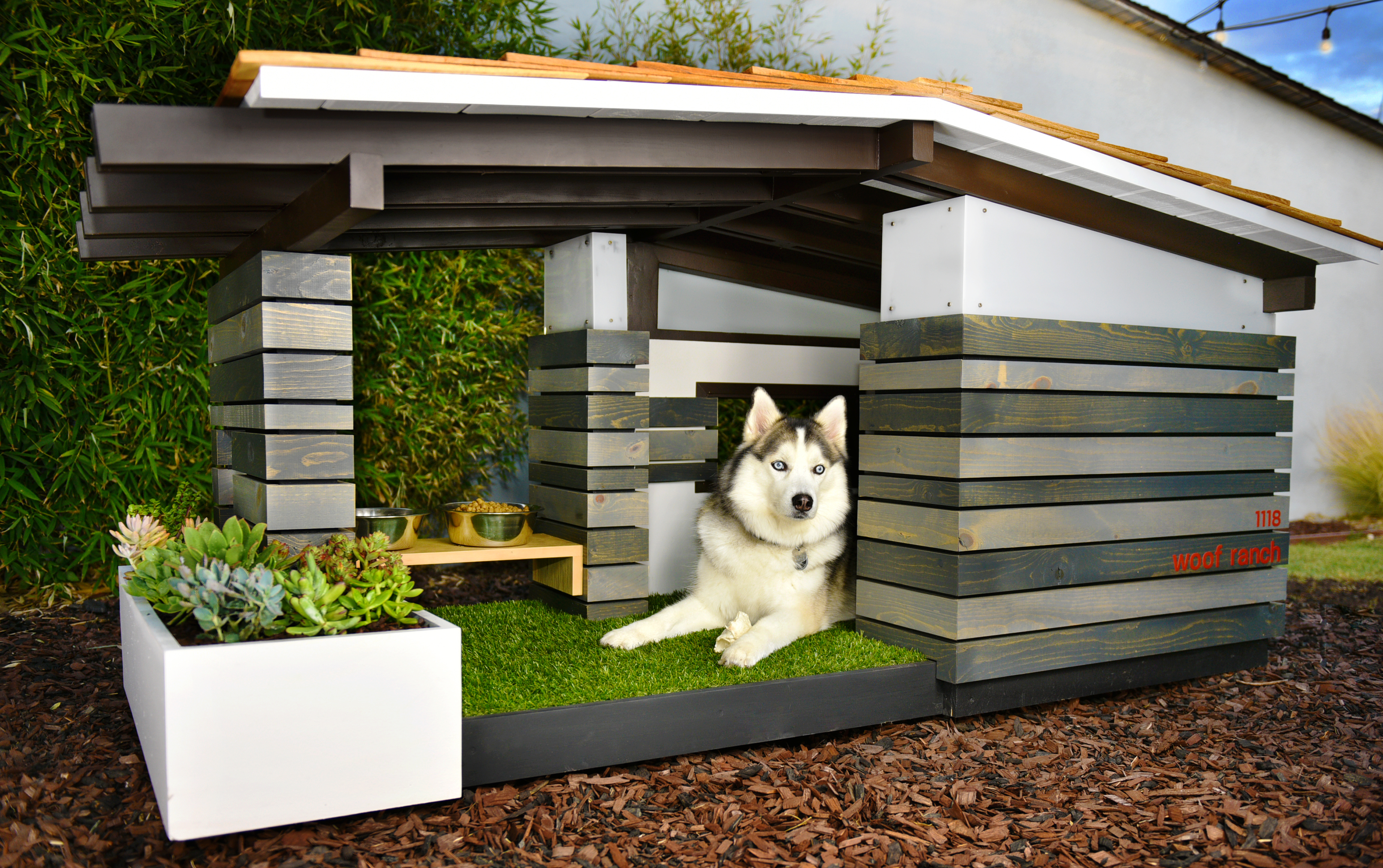 nice dog houses