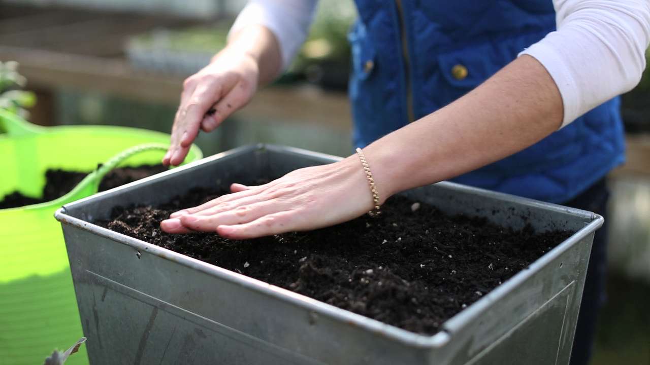 Посев томатов на рассаду чем обработать семена. Подготовка почвы для рассады. Грунт для рассады томатов. Ящик с грунтом для рассады. Контейнеры для рассады с грунтом.