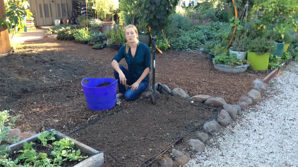 Using Coffee Grounds In The Garden, How To Add Calcium Garden Soil