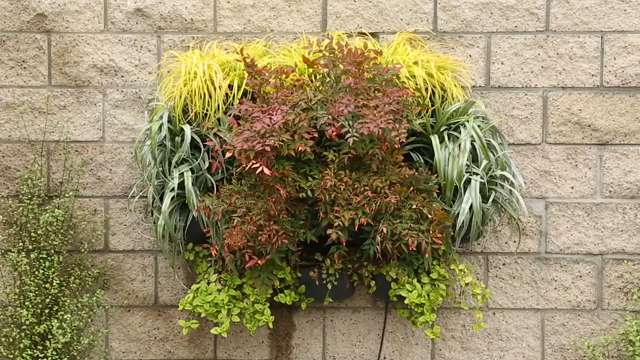 2014 L.A. Idea House: Woolly pockets