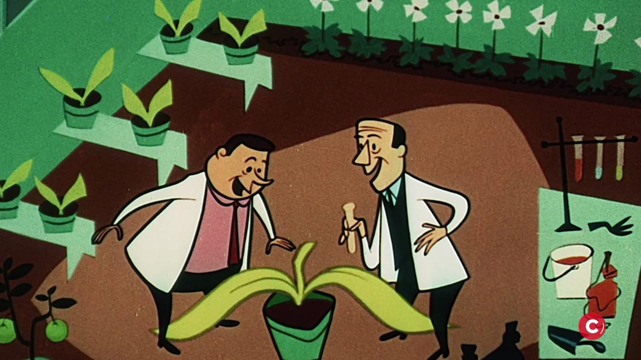 Beginner’s guide to buying organic