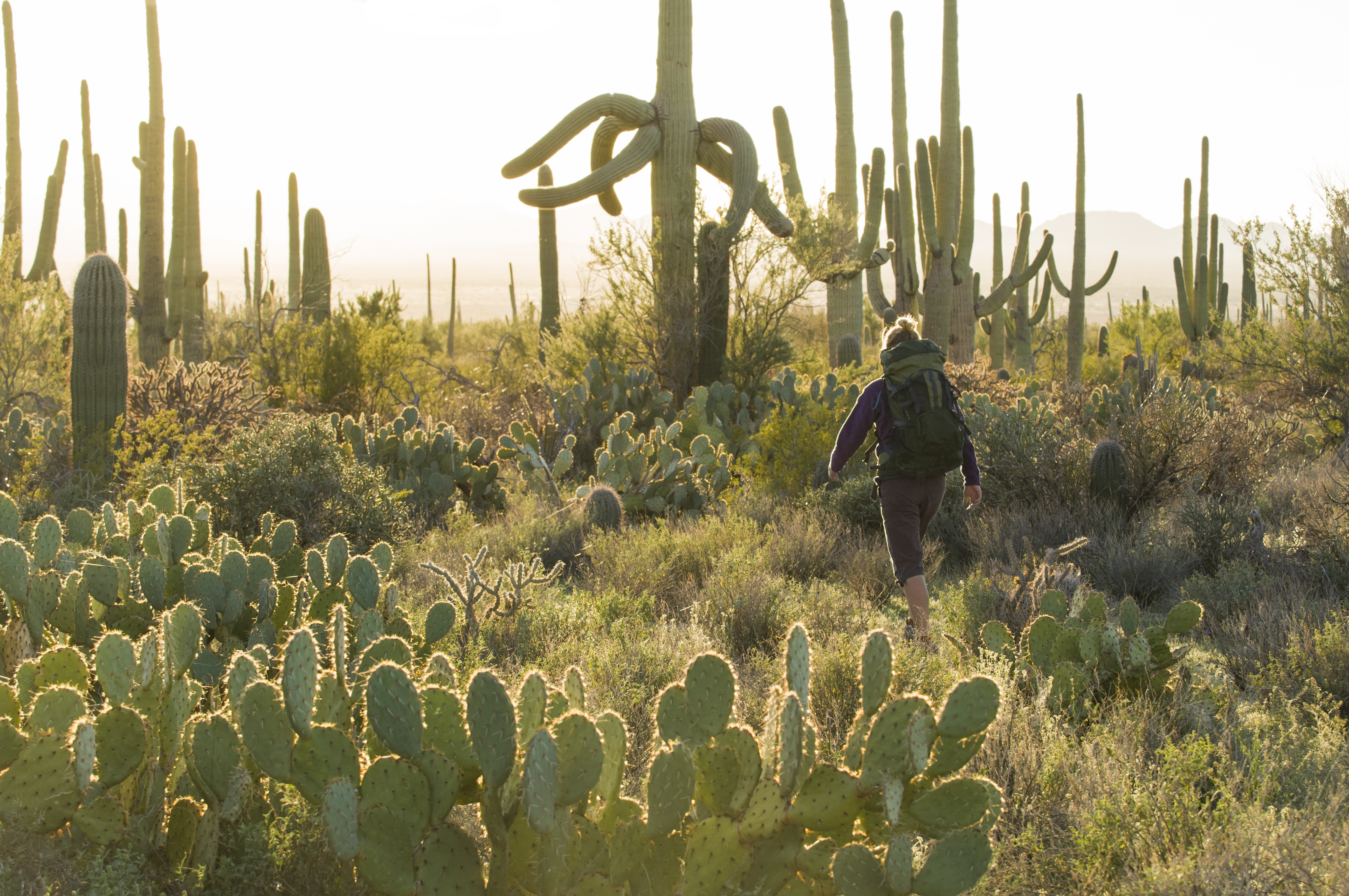 and-so-are-the-hiking-and-climbing