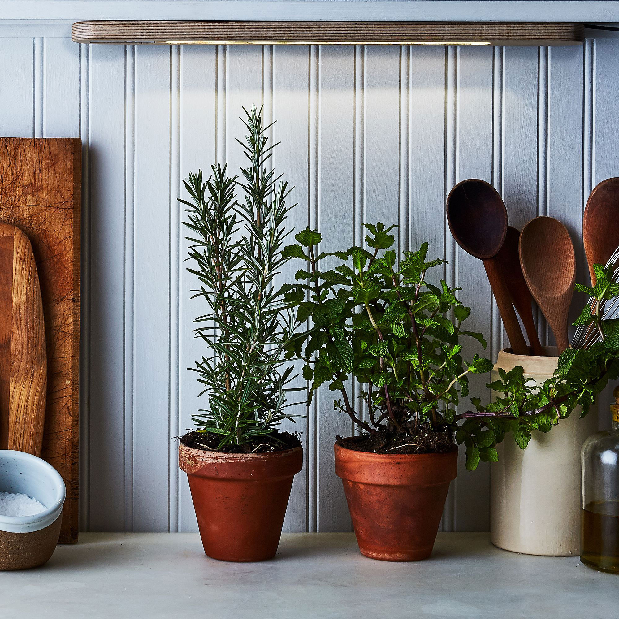 Potted Herbs