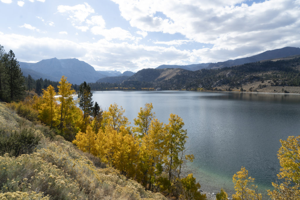 June Lake Loop Fall Color