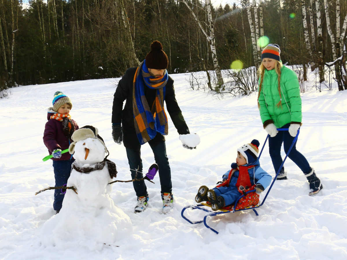 24 GOOD SEASONS SNOW WINTER KIDS AT PLAY ICESKATING SLEDS FABRIC NO 