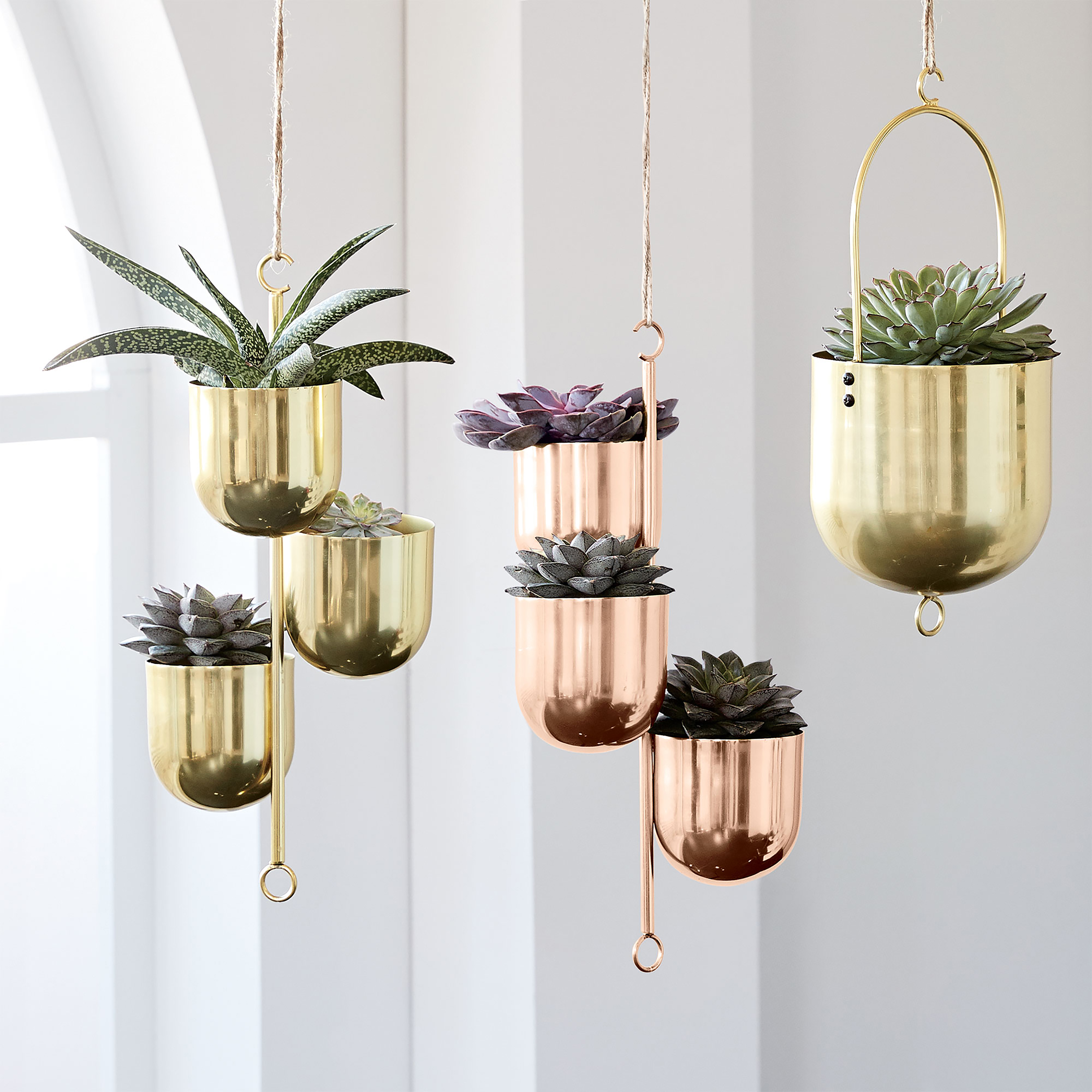 aerial-kitchen-garden