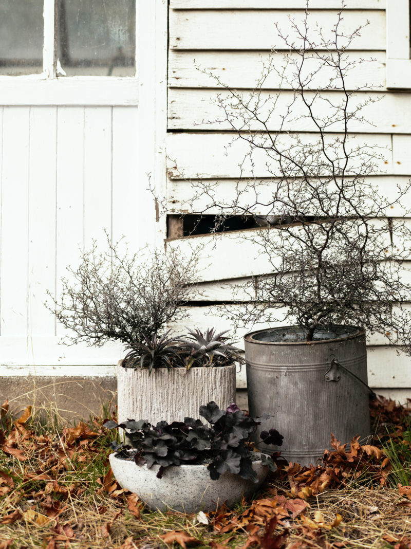 Fabulously Fright-Tastic Outdoor Halloween Decorations