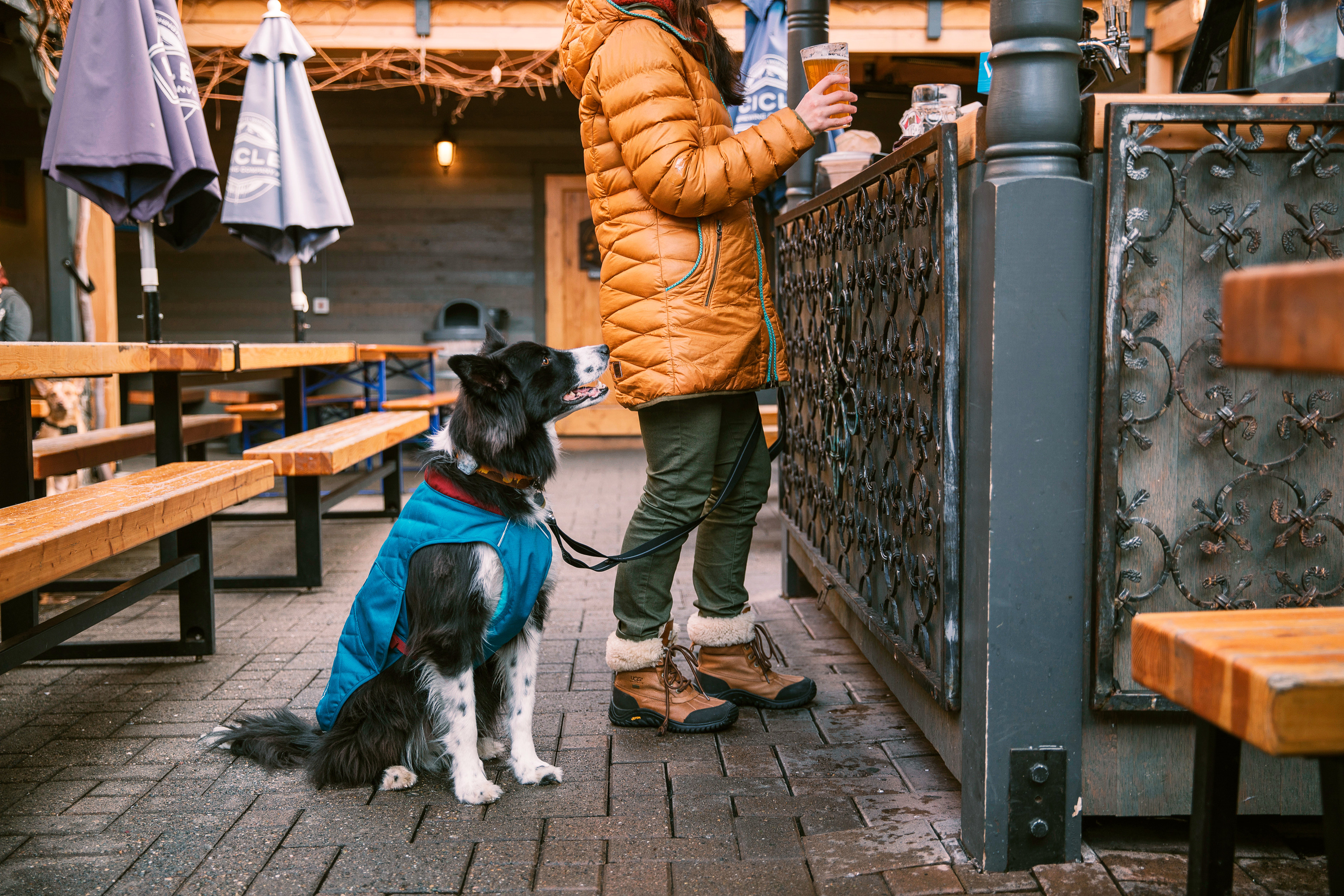 ruffwear-stumptown-jacket