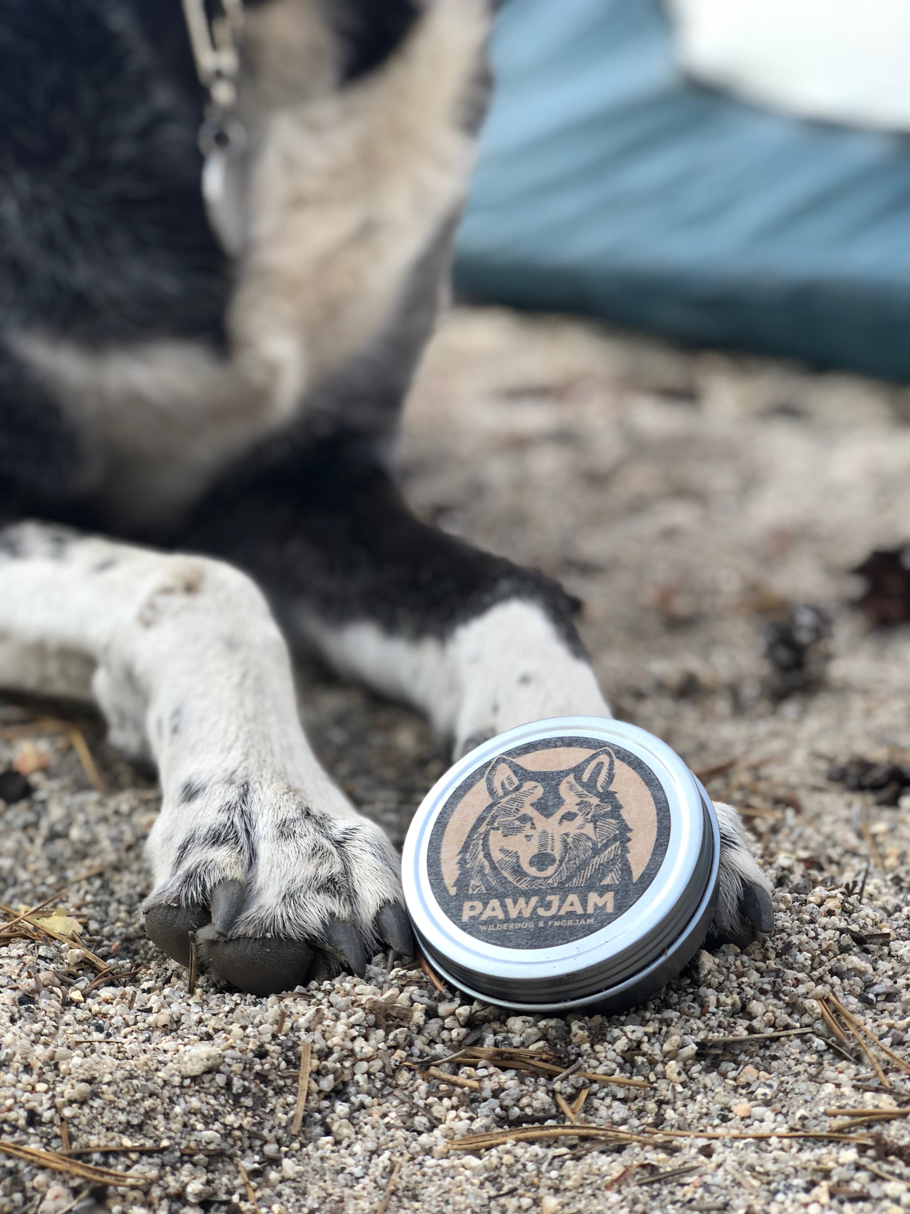 wilderdog-pawjam-balm