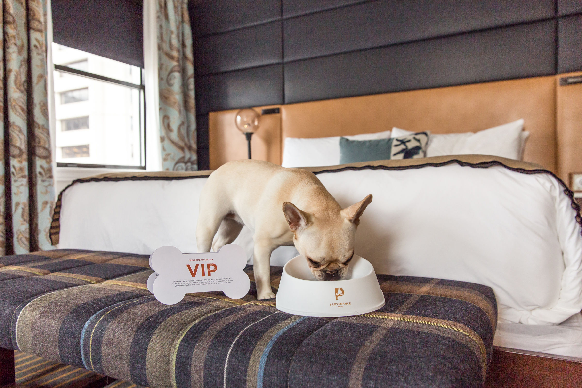 hotel-theodore-seattle-wa