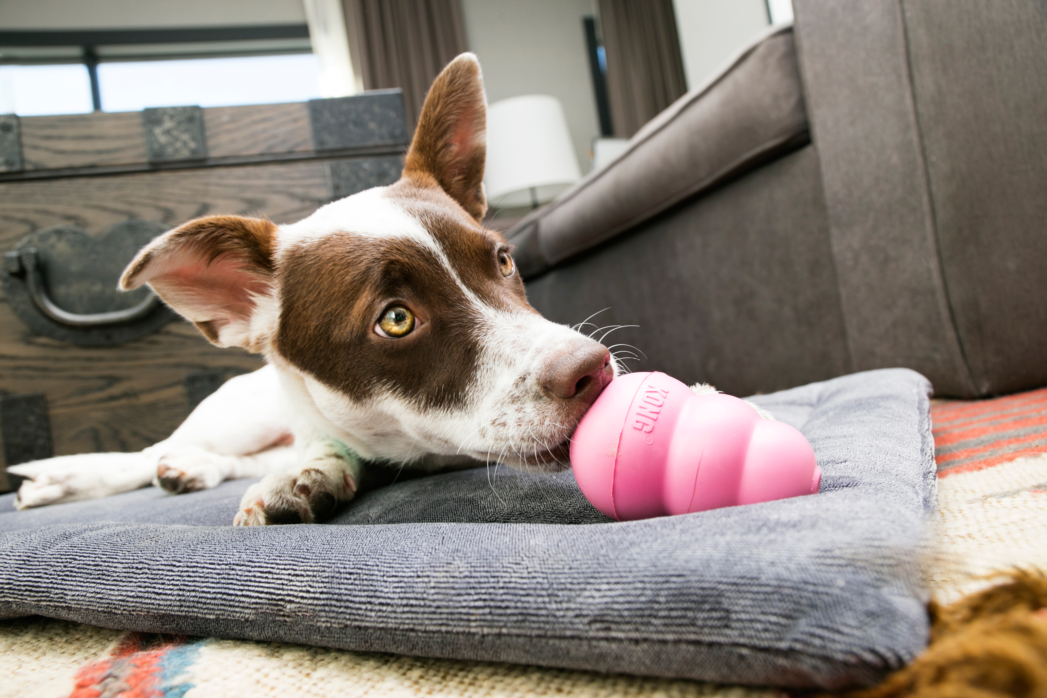 origin-red-rocks-golden-co