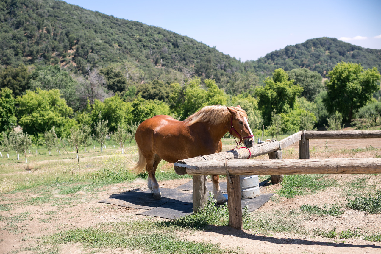 los-rios-rancho-oak-glen-ca