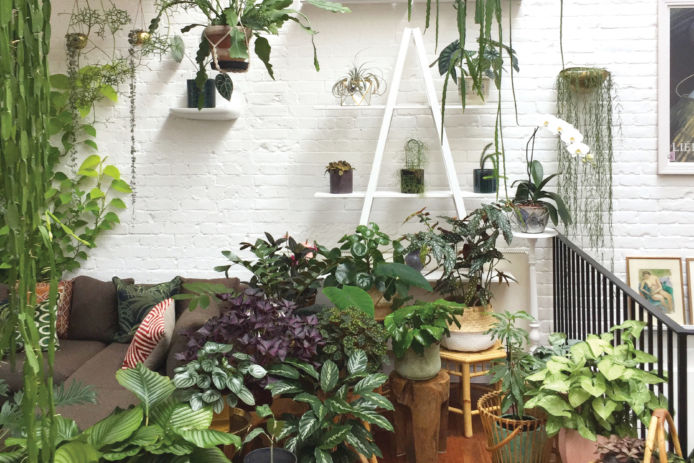 Urban Oasis