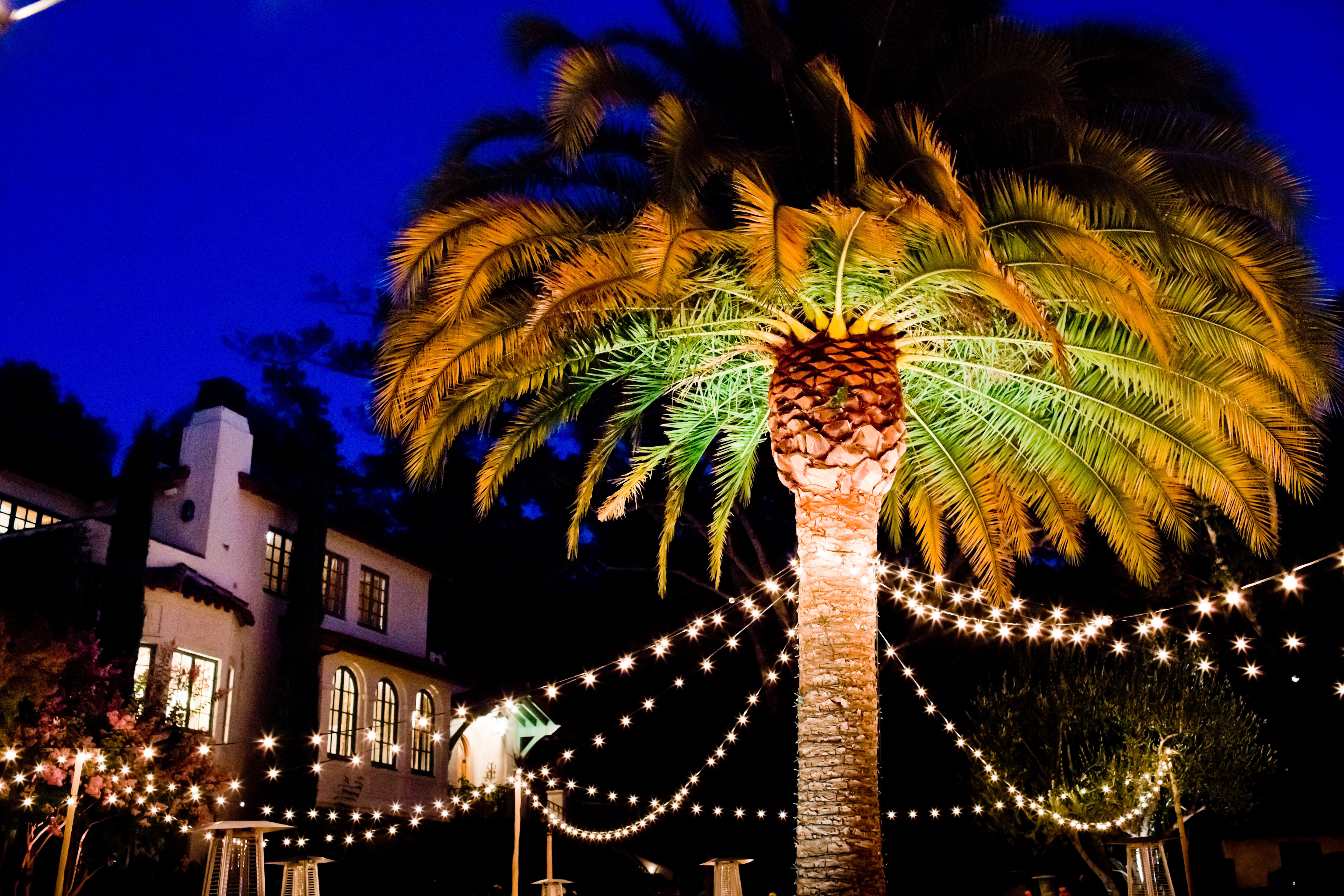 work-with-what-youve-got