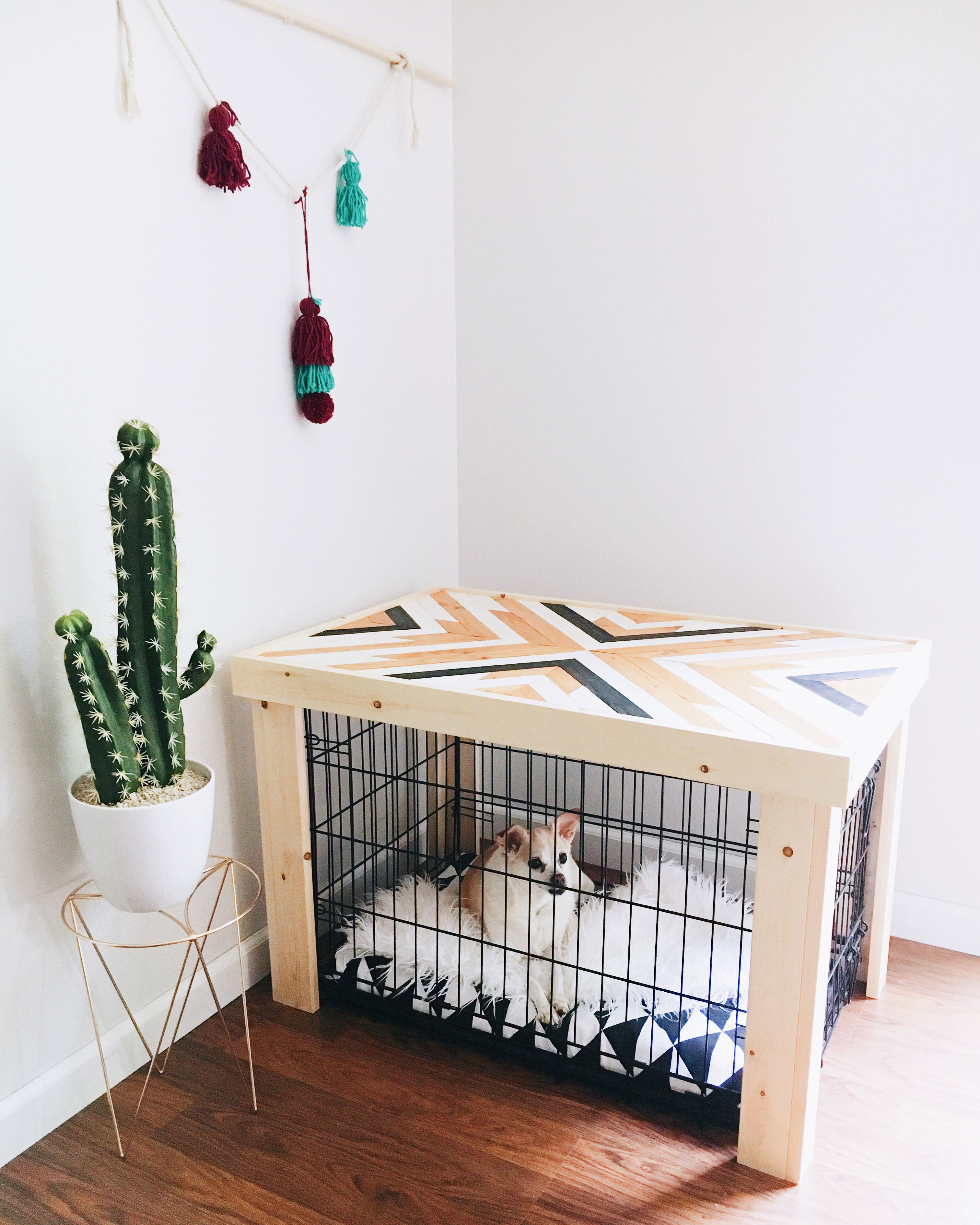 8 Display-Worthy Pet Crates