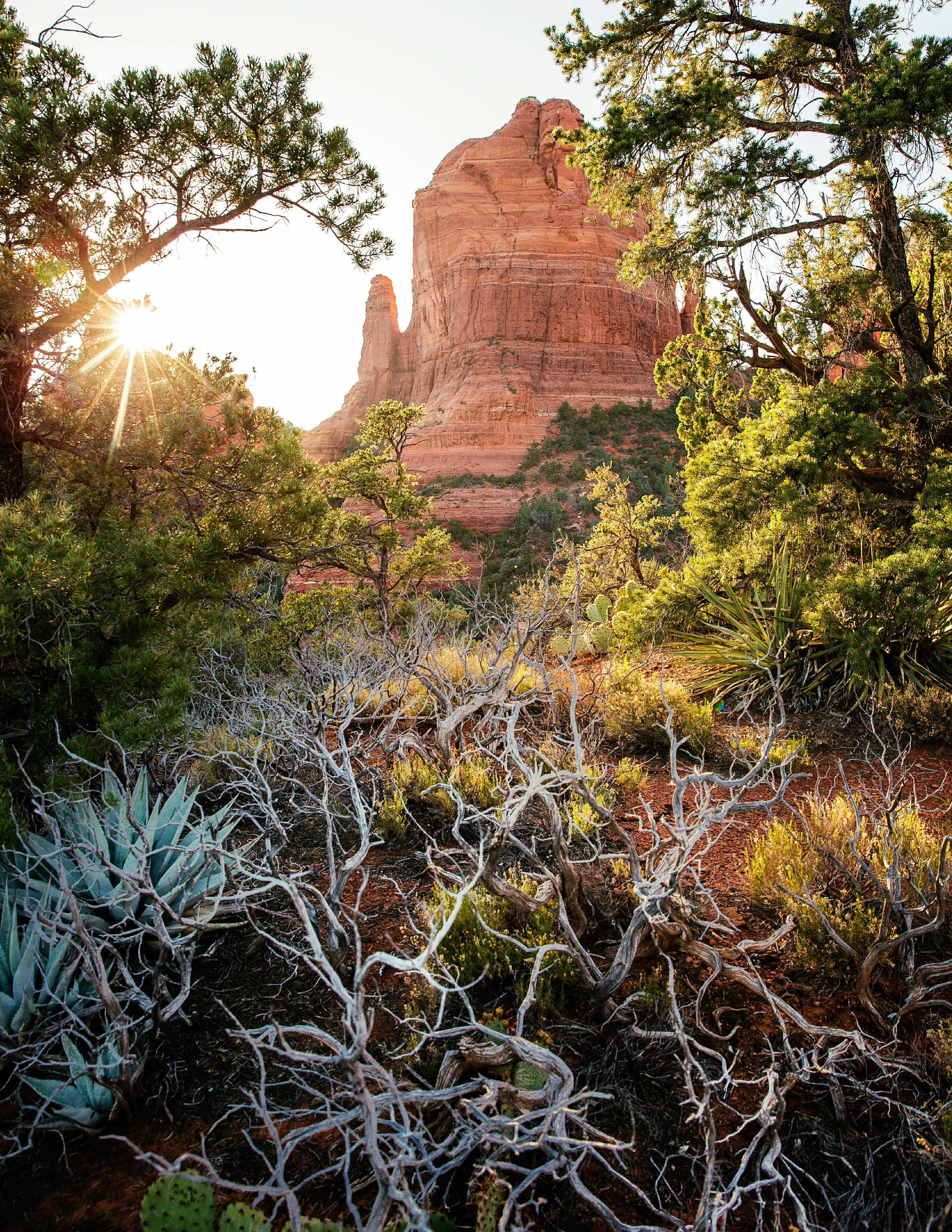 Top 10 Wellness Vacation Destinations